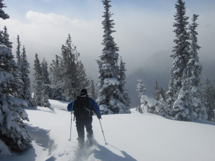Breaking Trail in Olympic National Park