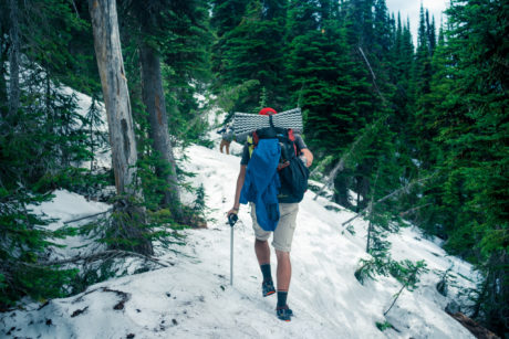 Flathead National Forest. Photo by Tyler Yates.