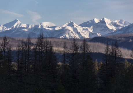 Livingstone Range