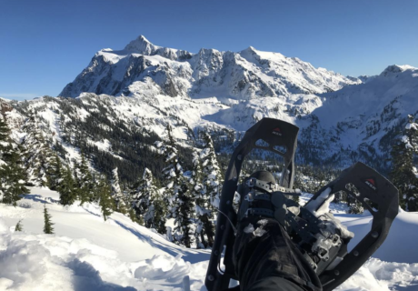 wintertrips