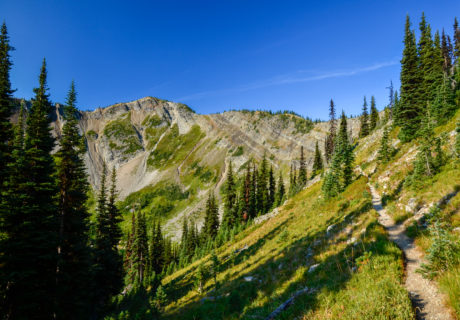 The Boundary Trail in the Western Pasayten