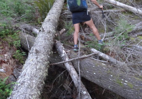 Bushwhacks are Part of the PNT Adventure