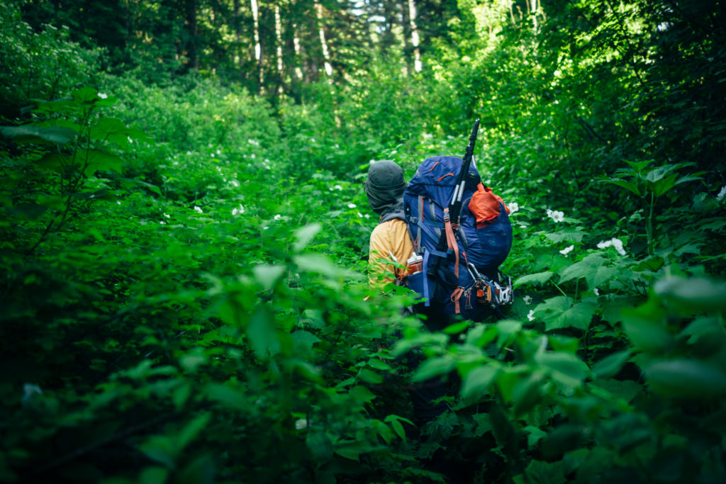 Inland Temperate Rainforest