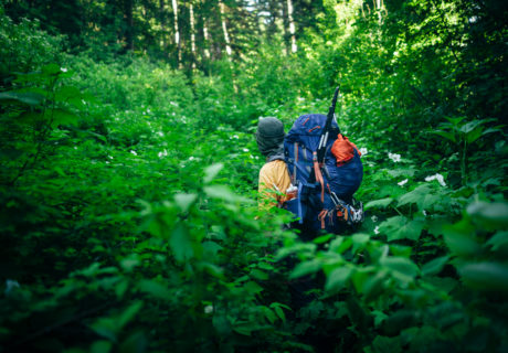 Inland Temperate Rainforest