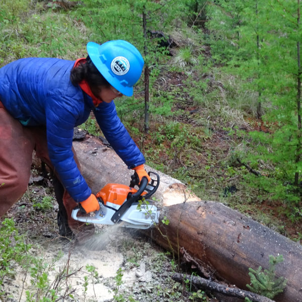Crew leaders received training in chainsaw and crosscut bucking.