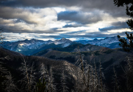 Fire scars in the Okanogan NF