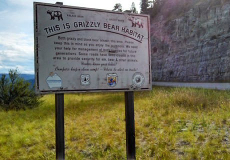 Grizzly Bear Habitat Sign