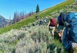volunteers reshaped the PNT