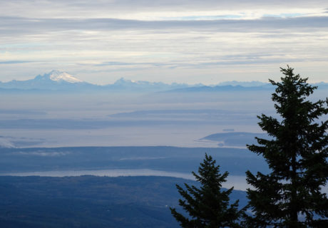 Mt Zion Trail