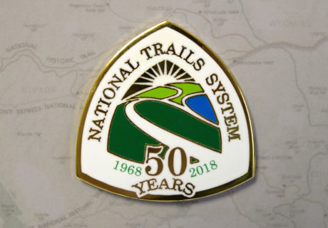 NTS 50th Pin
