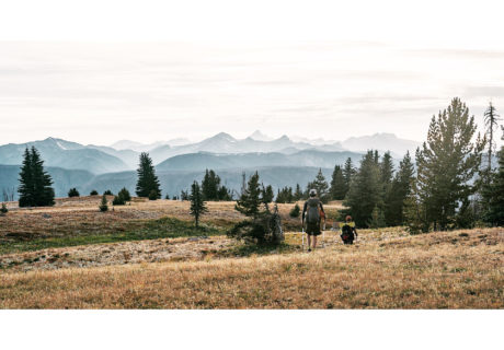 Okanogan National Forest