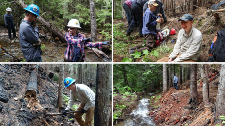 PNTA Performance Trail Crew
