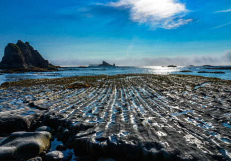 The Rugged Olympic Coast
