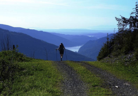 baker bellingham