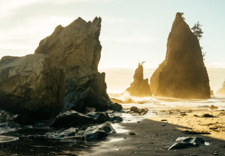 Sea stacks along the Wilderness Coast