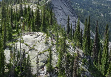 The Rugged Selkirk Crest