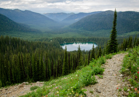 Ten Lakes Scenic Area, Kootenai National Forest