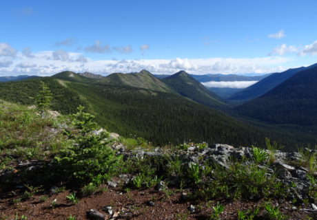 Whitefish Range, Flathead National Forest