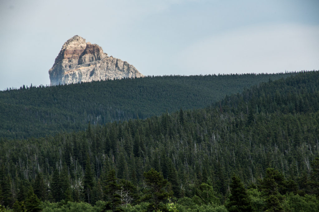 Chief Mountain in Glacier National Park