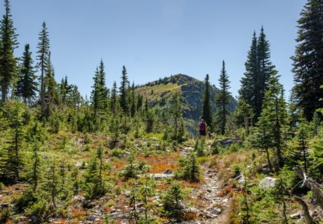 Abercrombie Mountain