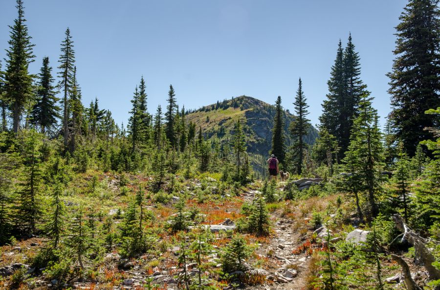 Abercrombie Mountain