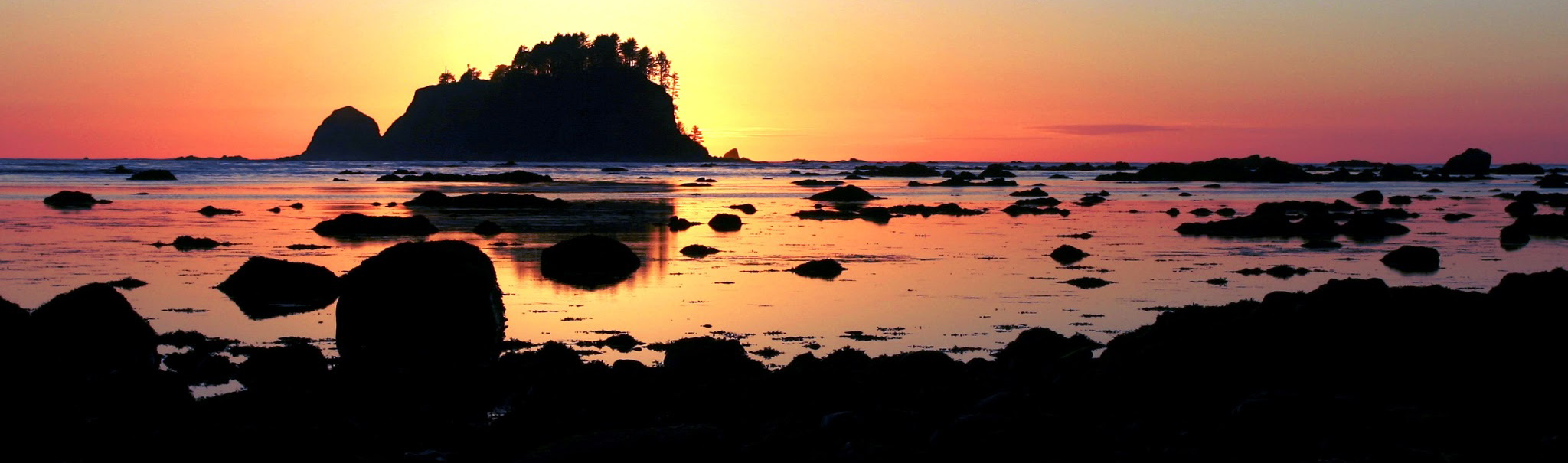 Cape Alava