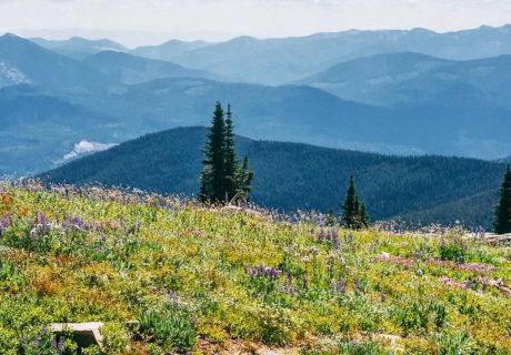 Kettle River Range