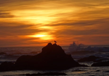 Sunset on the Pacific Coast