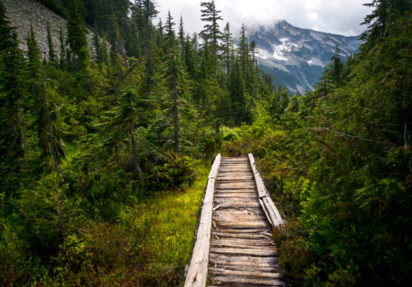 trail alerts